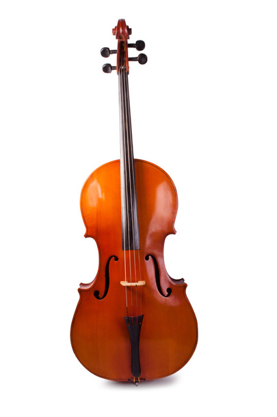 Cello on a white background. - Foto, imagen