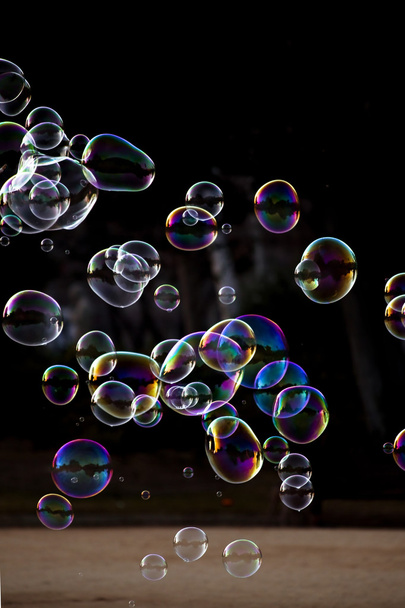 Soap bubbles floating - Photo, Image