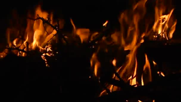 Closeup táborák s hořící dřevo protokolu a větvičky v noci - Zpomalený pohyb - Záběry, video