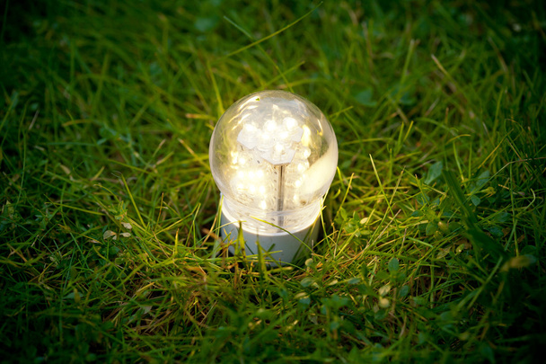 lampada a led sull'erba - Foto, immagini