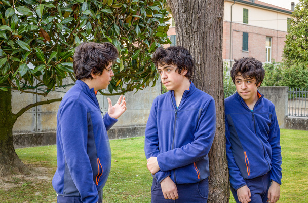 drei Jungen, die sich in einem Garten unterhalten, tatsächlich derselbe Typ auf einem Foto - Foto, Bild