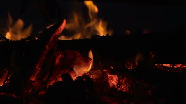 Closeup táborák s hořící dřevo protokolu a větvičky v noci - Záběry, video