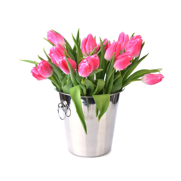 fresh pink tulips - Foto, imagen