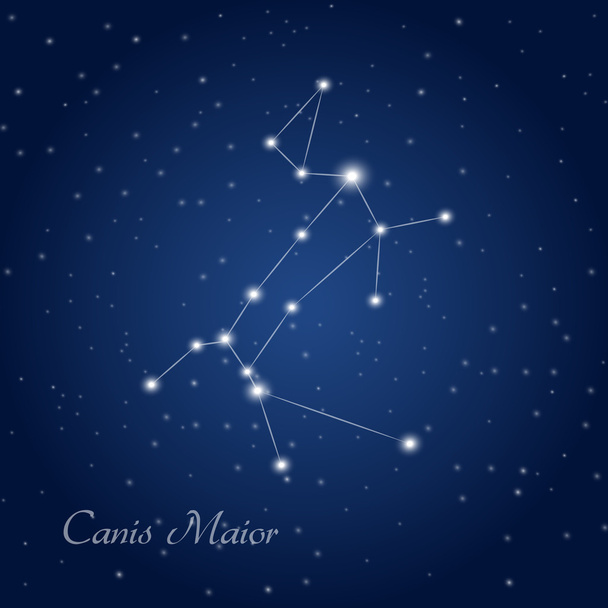 Canis Maior csillagkép  - Vektor, kép