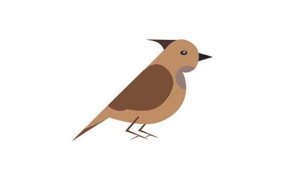 Bird. Vector image. Isolated on a white background - Vector, Image