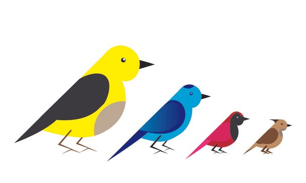 Bird. Vector with pictures of colorful birds - Vector, Image