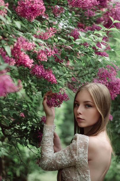 Beautiful young girl in a flowering lilac - Foto, Imagem
