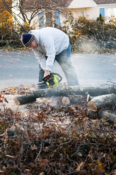 ember darabolt fa végtagok láncfűrésszel - Fotó, kép