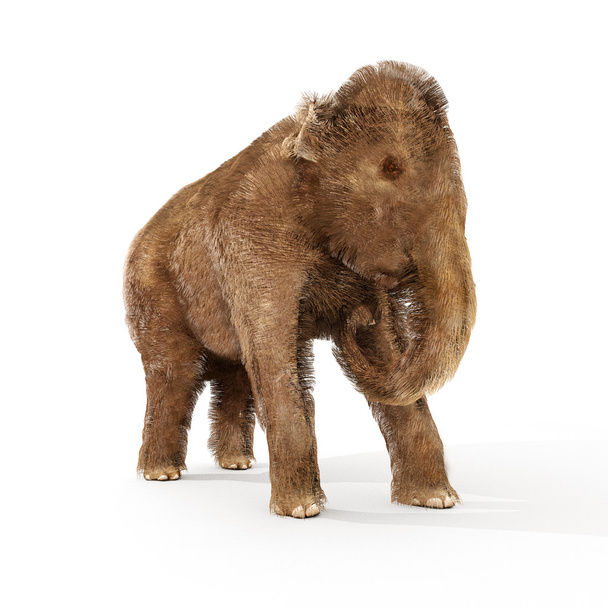 Baba gyapjas mamut illusztráció - Fotó, kép