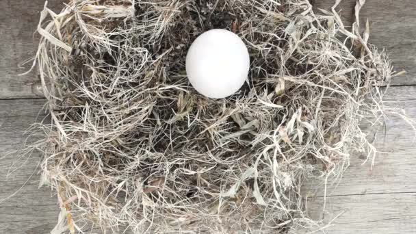 Easter egg on nest. - Filmati, video