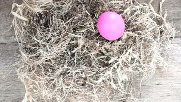 Easter egg on nest. - Footage, Video