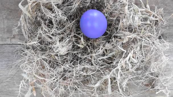 Easter egg on nest. - Filmmaterial, Video