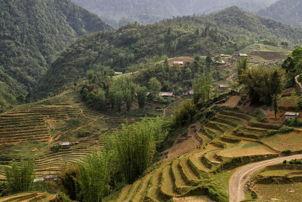 Campos de arroz en las montañas, Sa Pa, Vietnam del Norte
 - Foto, imagen