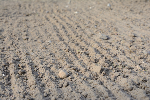 Loosened soil texture - Photo, Image