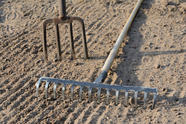 Rake and pitchfork on soil - Photo, Image