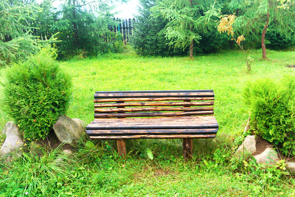 緑の公園にある木のベンチ - 写真・画像
