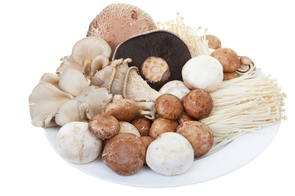 cogumelos mistos
 - Foto, Imagem