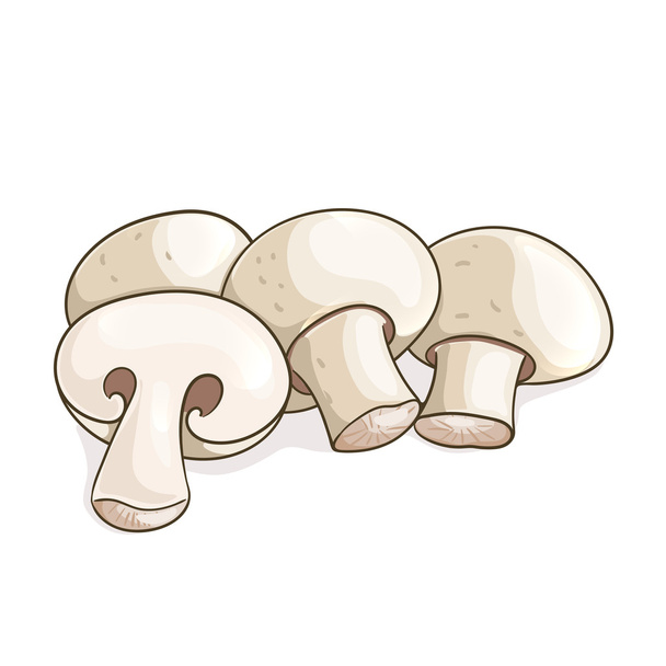 Beyaz champignon mantar. Vektör çizim - Vektör, Görsel