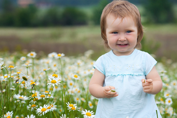 Little girl on the camomile meadow - 写真・画像
