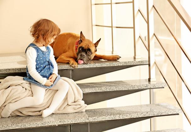 Little cute girl with boxer dog sitting on the stairs indoor - Foto, immagini