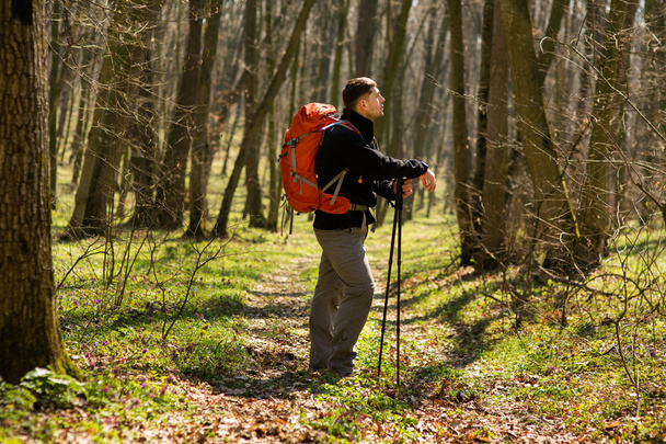 Male hiker looking to the side walking in forest - Foto, Imagen
