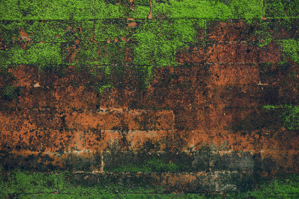 Nature Texture. Stone wall with greenery - Foto, imagen
