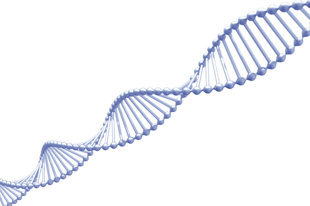 DNA-3d. - Foto, Imagem