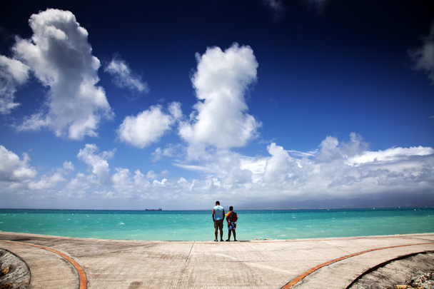 Karibian ranta - Guadeloupe, Pienet Antillit
 - Valokuva, kuva