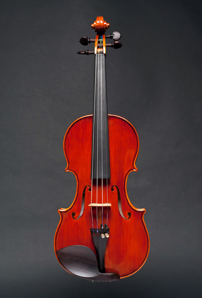 violin on black - Φωτογραφία, εικόνα