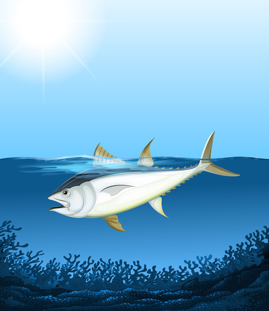 Tuna swimming in the sea - Vector, Image