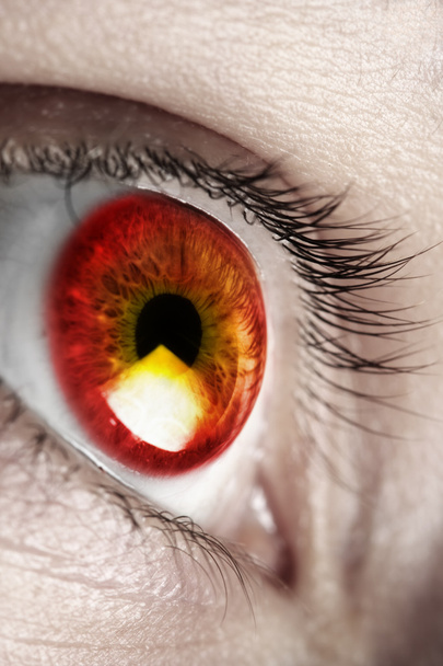 leuchtend rotes Auge - Foto, Bild