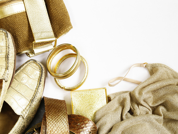 fashion accessories for women - handbag, scarf, belt and jewelry  - Fotoğraf, Görsel