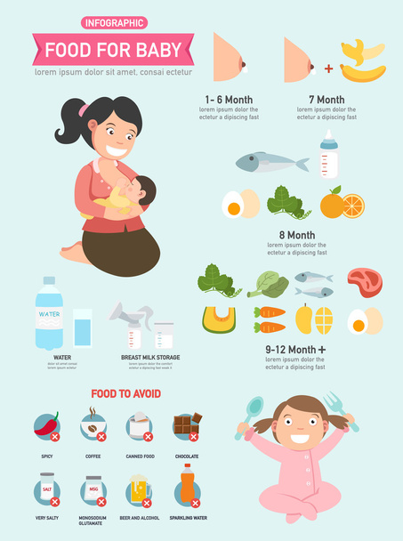 Nahrung für Baby-Infografik, Vektor - Vektor, Bild