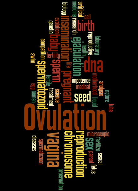 Ovulación, concepto de nube de palabras 8
 - Foto, Imagen