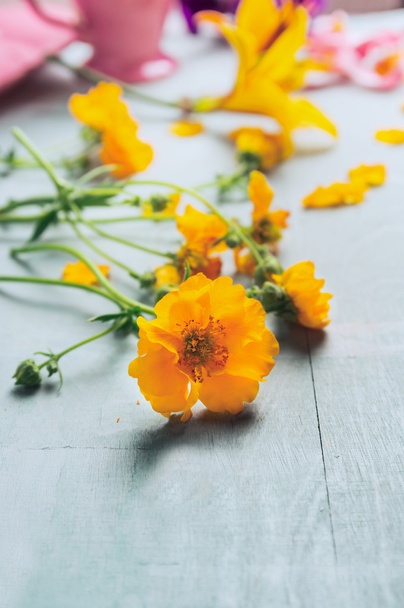Yellow flowers on table - Fotó, kép