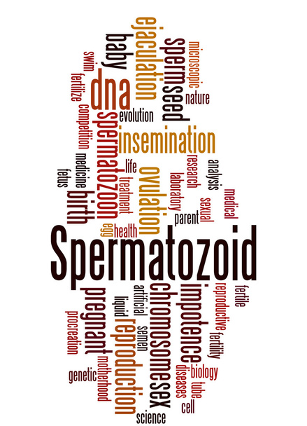 Spermatozoid, slovo mrak koncepce 3 - Fotografie, Obrázek