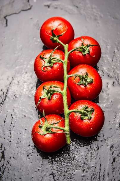 tomatoes branch with water drops - Fotoğraf, Görsel