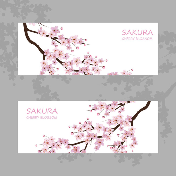 roze sakura bloemen - Vector, afbeelding