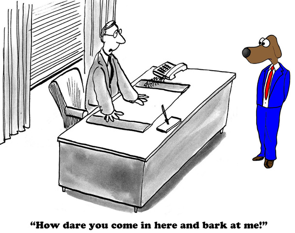 Bark at Boss - Photo, Image