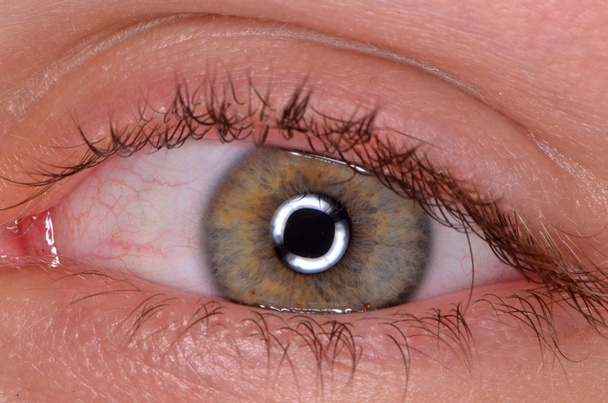 ανθρώπινο μάτι πράσινο - Φωτογραφία, εικόνα