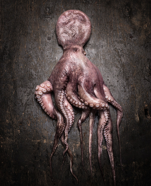 Raw octopus on wooden background - Фото, изображение
