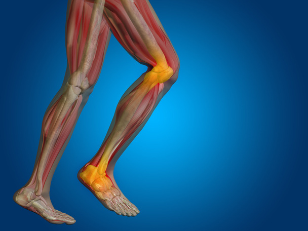 joint or articular pain - Photo, Image
