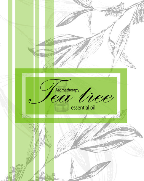 label for essential oil of tea tree - Vector, Image