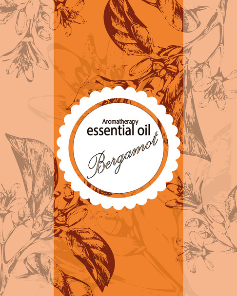 label for essential oil of orange - Vector, Image