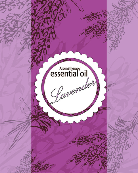 label for essential oil of lavender - Вектор, зображення