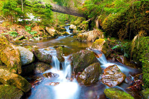 mały wodospad w górskim lesie jedwabistą wodą piany - Zdjęcie, obraz