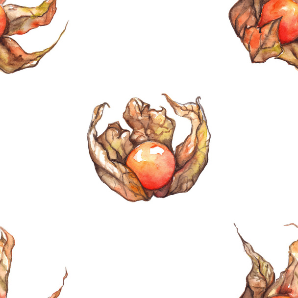 Aquarelle dessinée à la main physalis hiver cerise cape groseille fruit baie motif sans couture
 - Photo, image