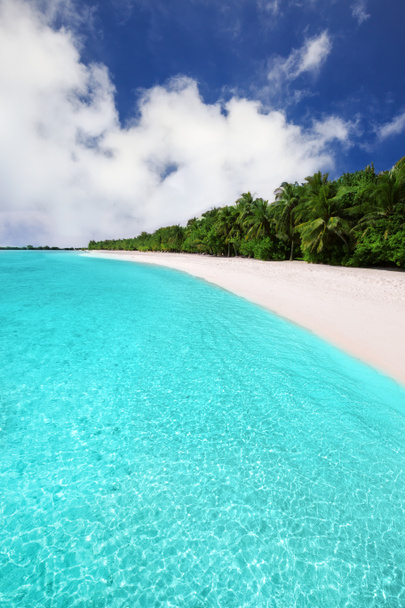 Isola tropicale con spiaggia sabbiosa
 - Foto, immagini