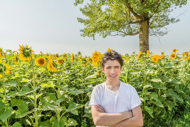 Ao ar livre e braços abertos, menino caucasiano está cruzando os braços na frente de campos de girassol amarelo durante o verão no campo italiano
 - Foto, Imagem