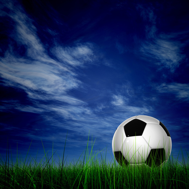 Μπάλα ποδοσφαίρου στο φρέσκο πράσινο χορτάρι  - Φωτογραφία, εικόνα